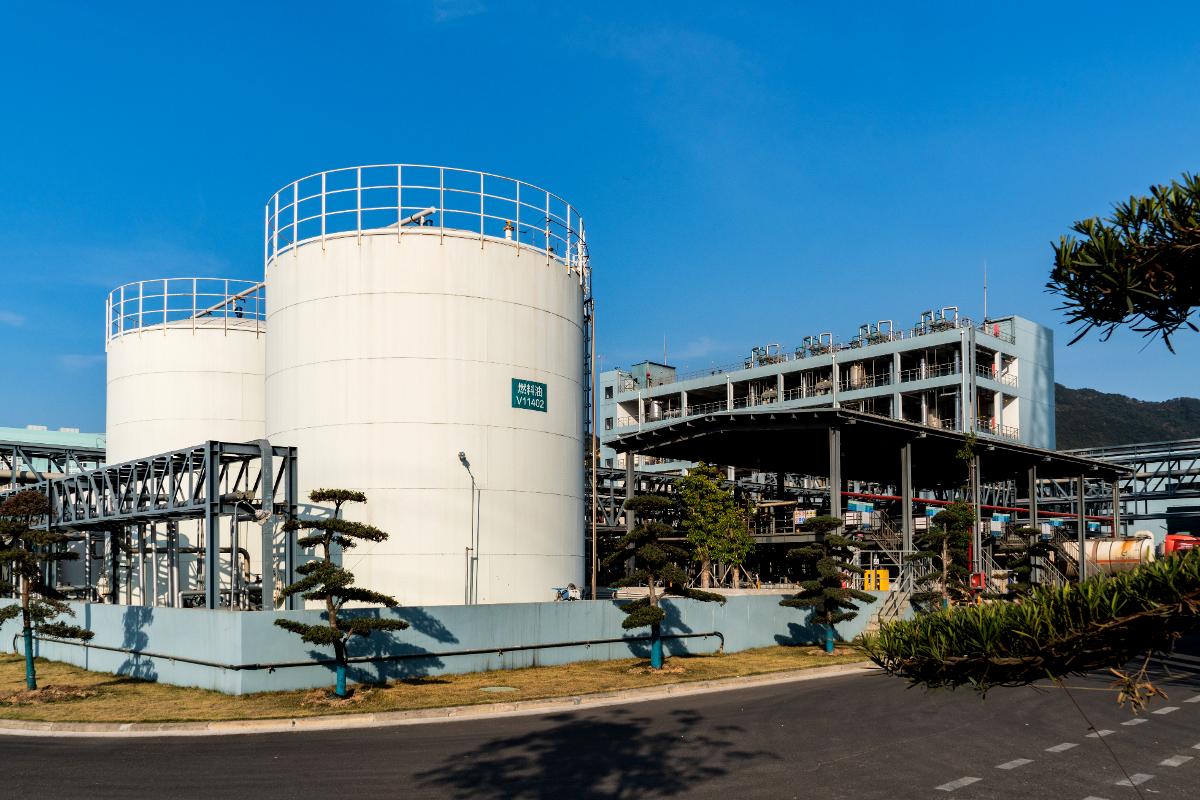 DSC09421.JPG DSC09421.JPG