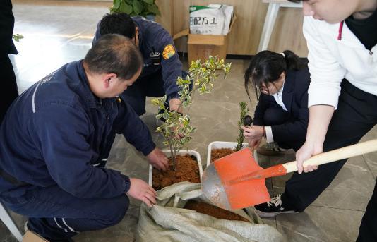 绿动未来，环保同行|佳境环保植树节盆栽种植活动圆满举行